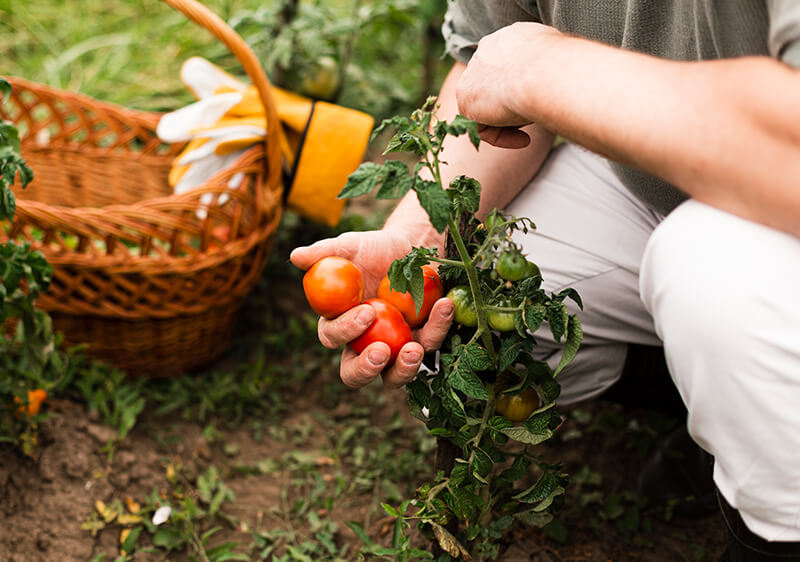 A can of Lifted Supreme energy drink next to a laptop