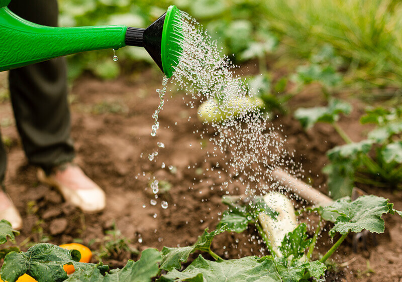 Close up of a refreshing Lifted Supreme energy drink with condensation